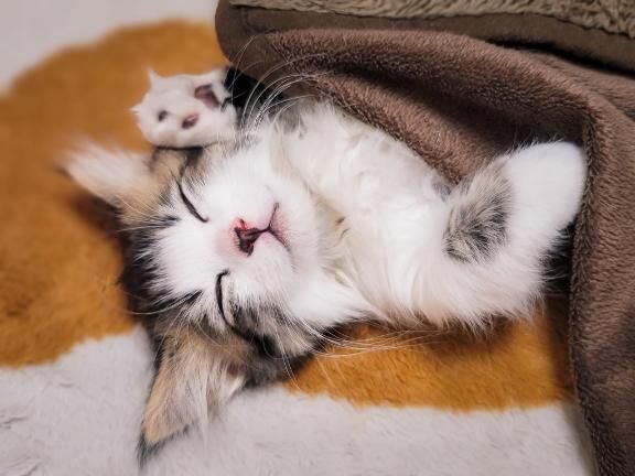 事前に予約ありがとう♡