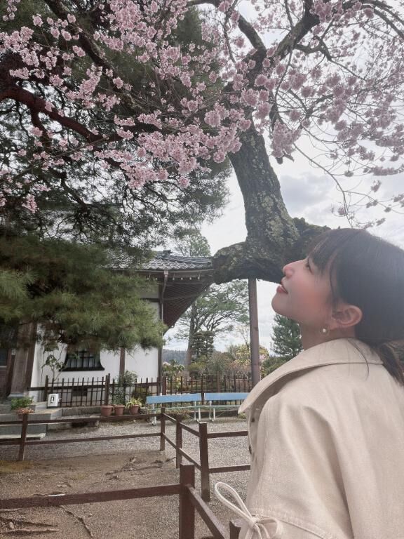 儚いから綺麗なんだってさ