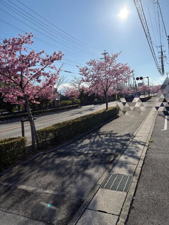 出勤しました♪