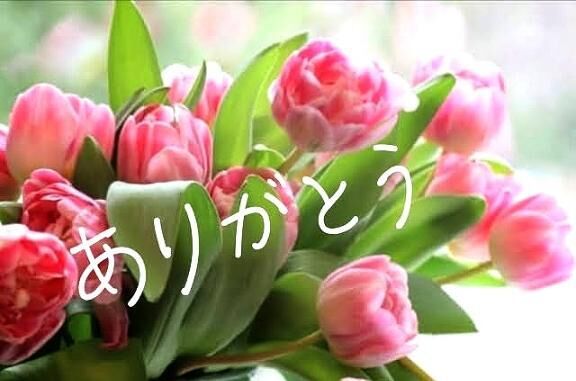 💌お礼です💌