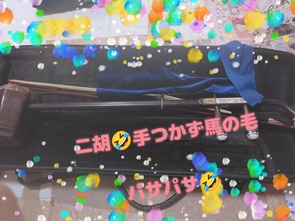 おはようございます(っ´ω`c)