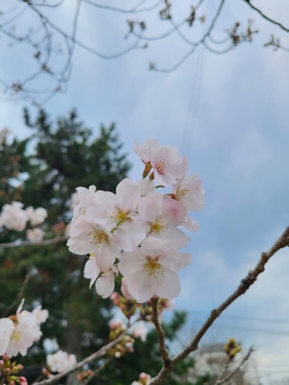 おはようございます