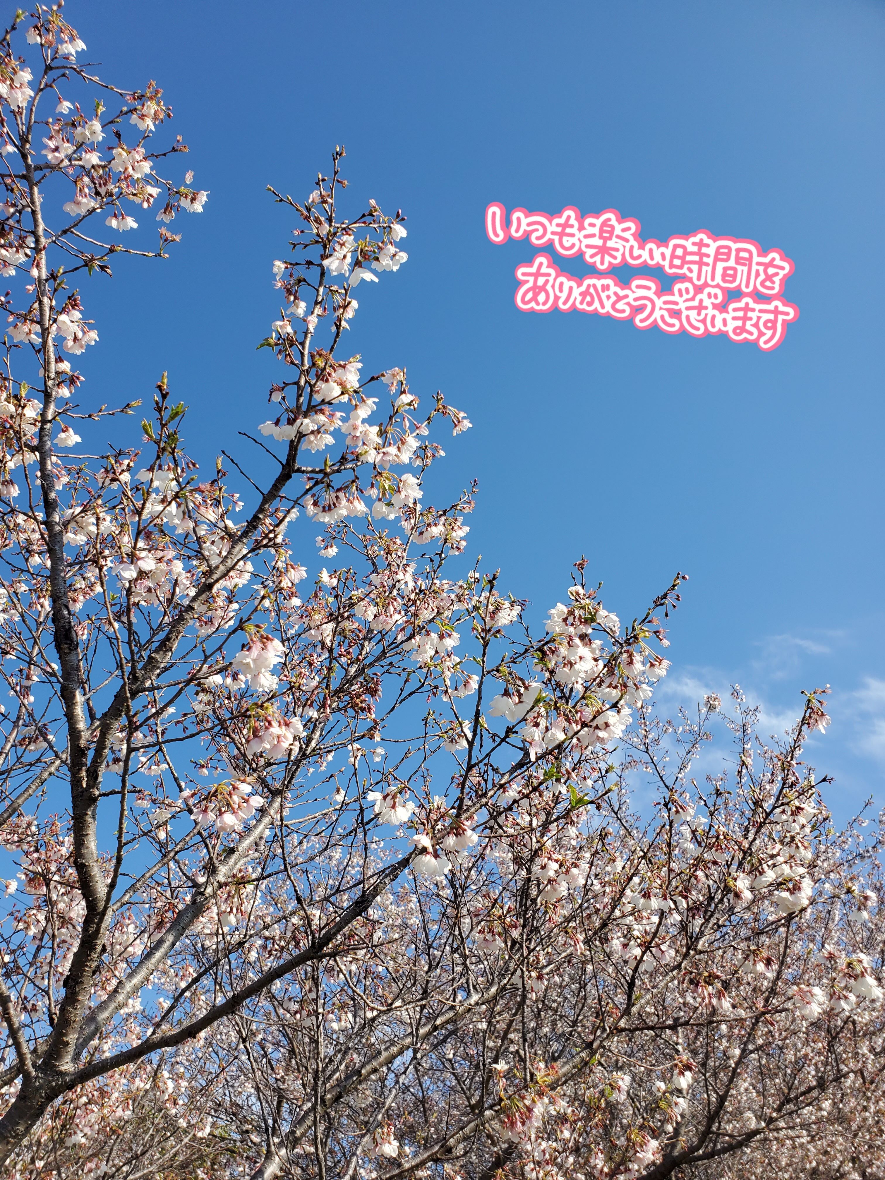 今日も仲良しご予約ありがとう♡