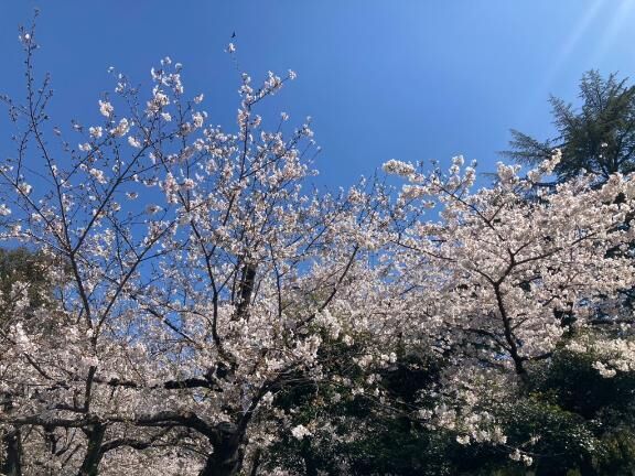 花より団子だから♡♡笑