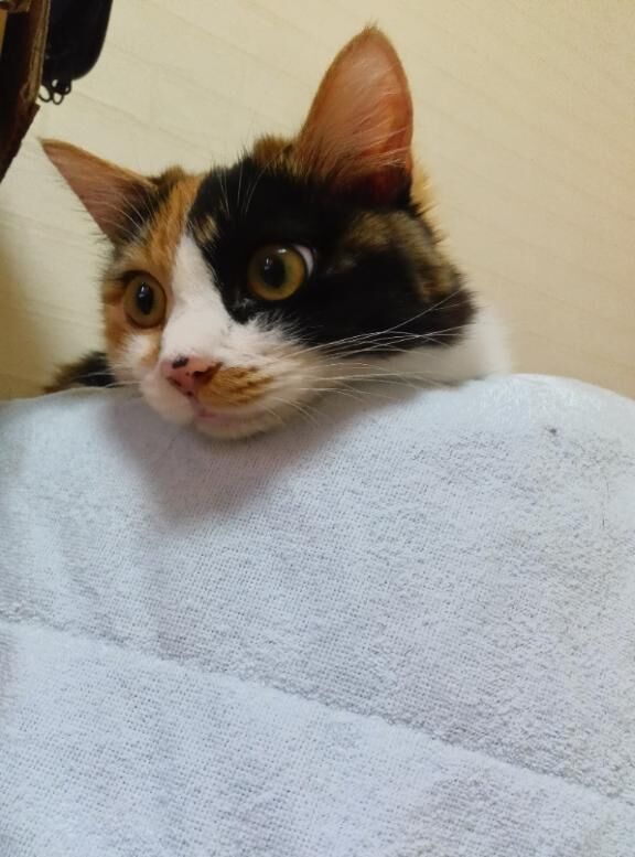 3月29日ご予約仲良しMA様