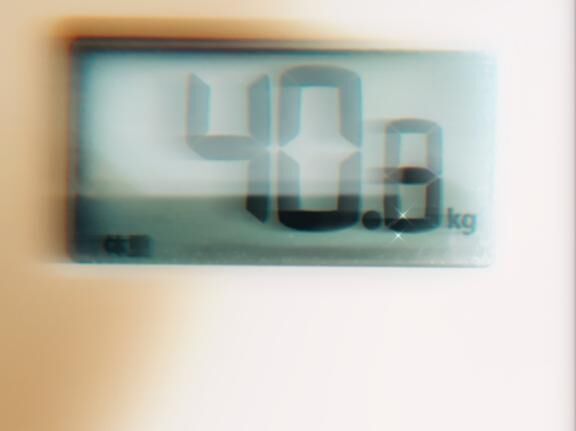 [お題]from:フリスク一気さん