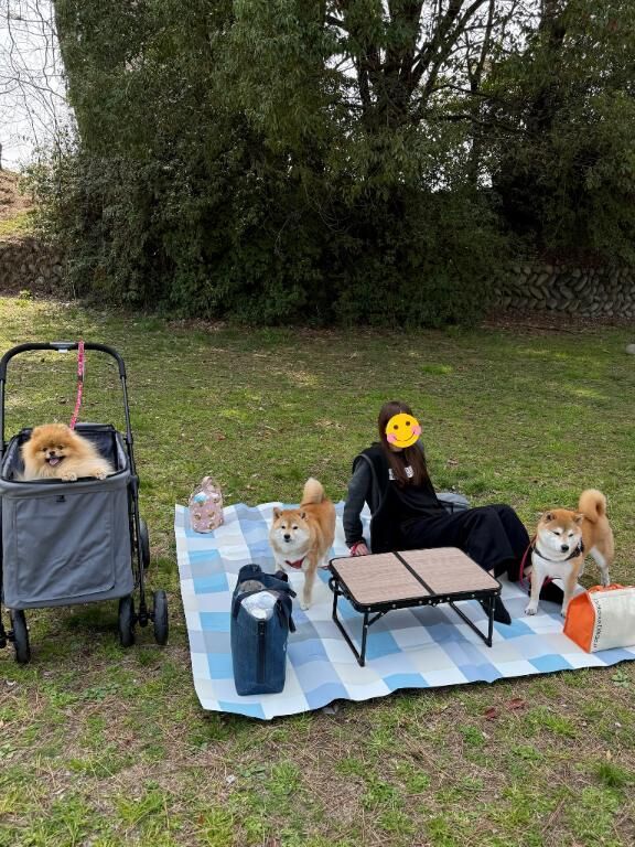 暑くもなく寒くもなく ちょうど良かった