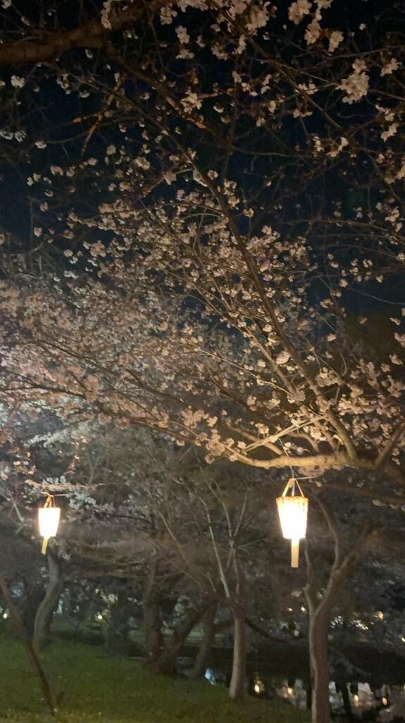 [お題]from:きりんさん