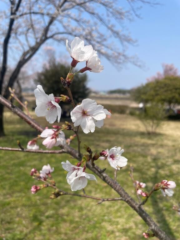 明日からまた🌟