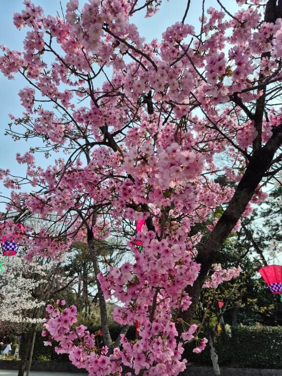 出勤しました♡