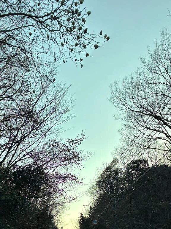 3月もありがとうございました