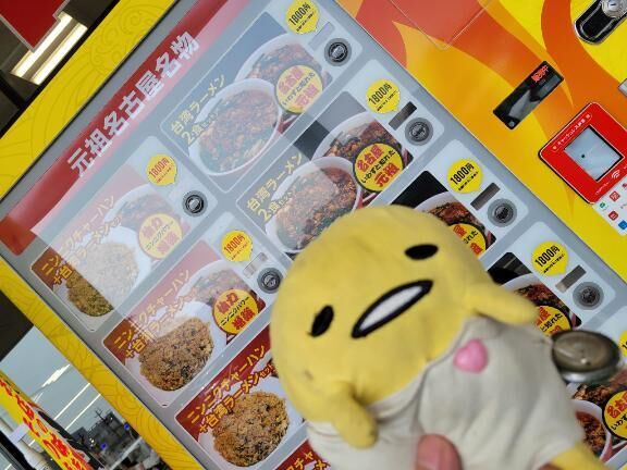 今日はお休みです