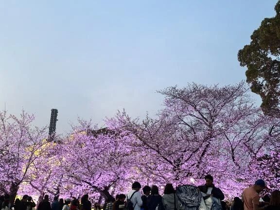 おやすみのひ♡