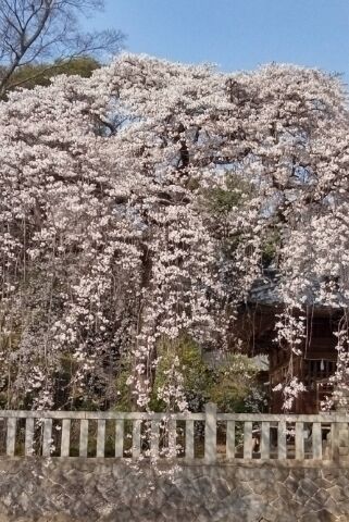 昨日のお礼です♪
