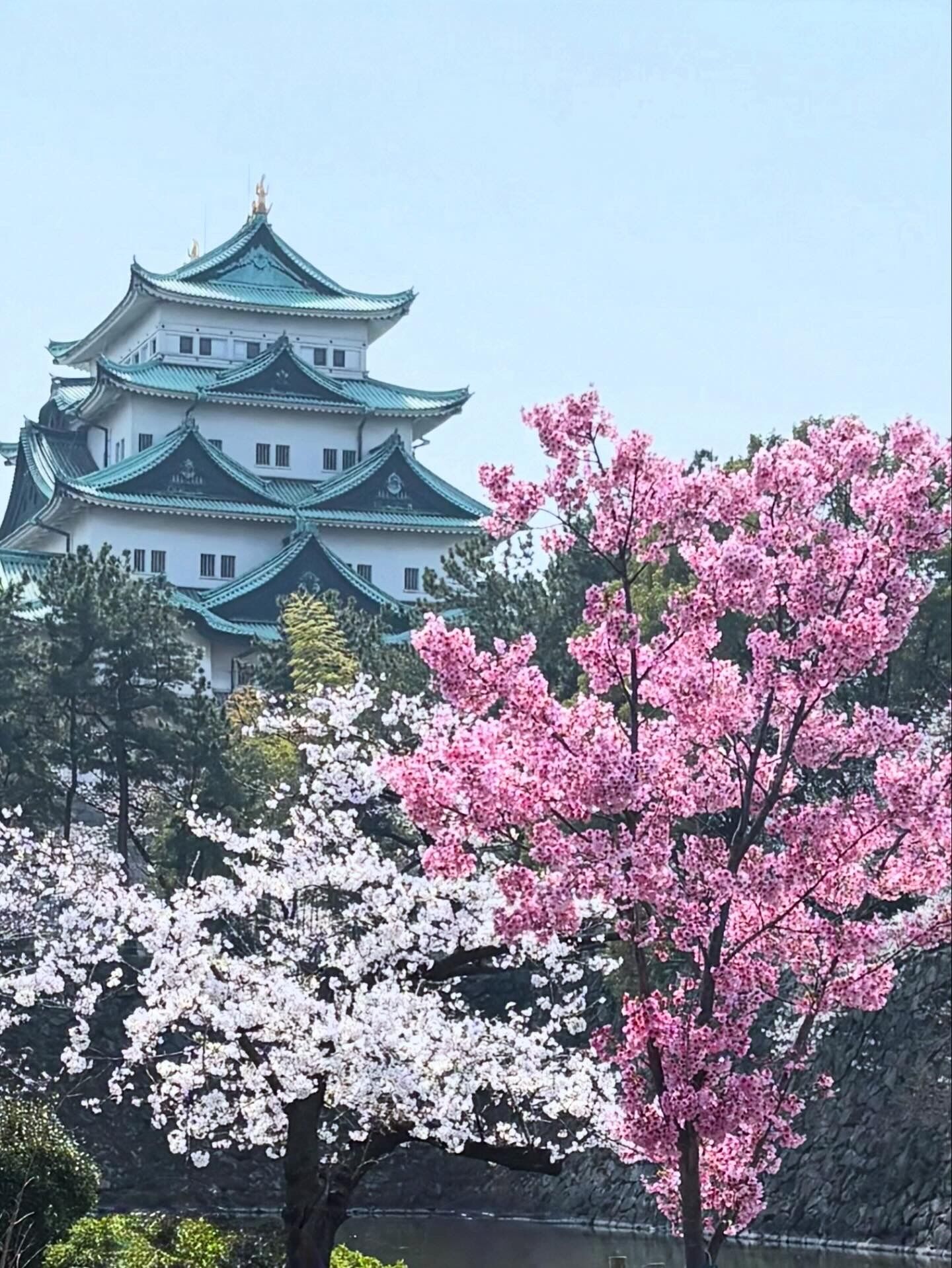 おはよう御座います