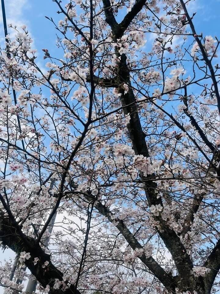 おはようございます