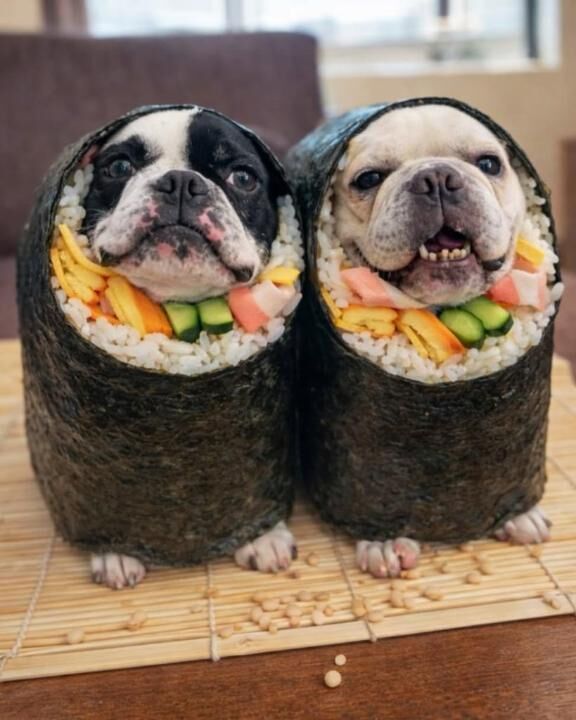 今日からお休み