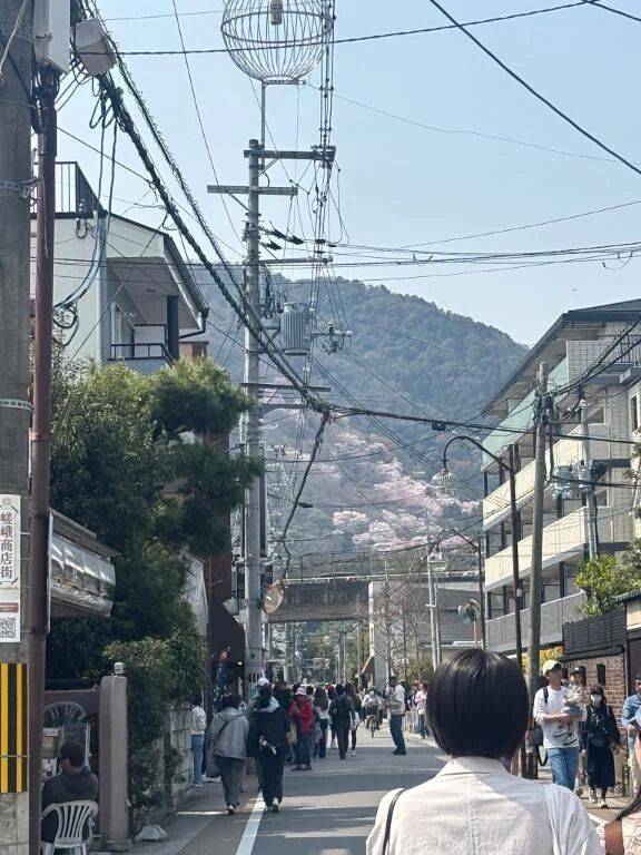 嵐山行ってきました👐🏻🌸