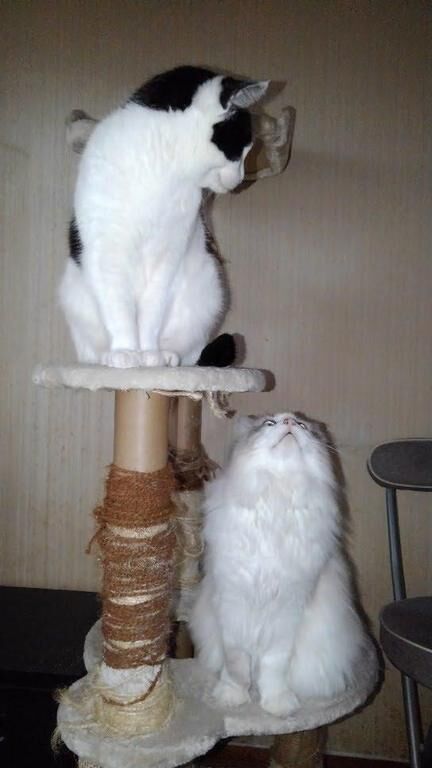 平日でもやや混雑