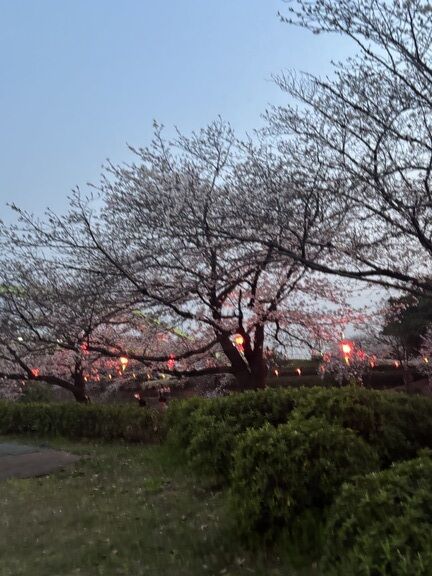 本日のお礼♡♡