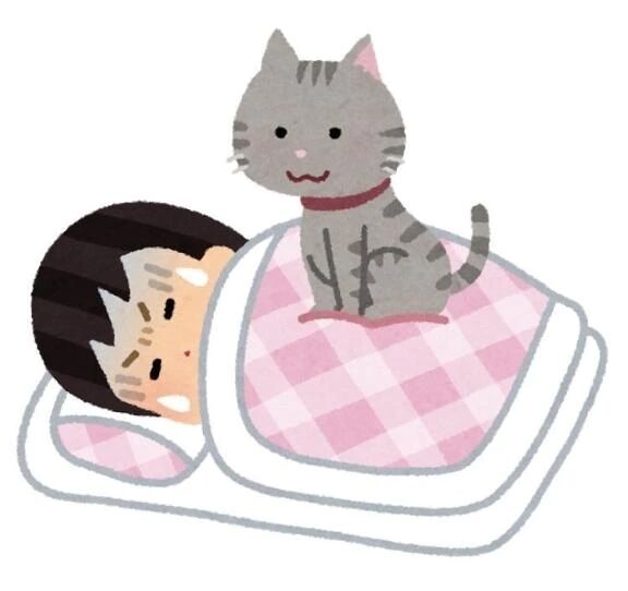 女の子の日⤵️