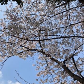 ありがとうございます！