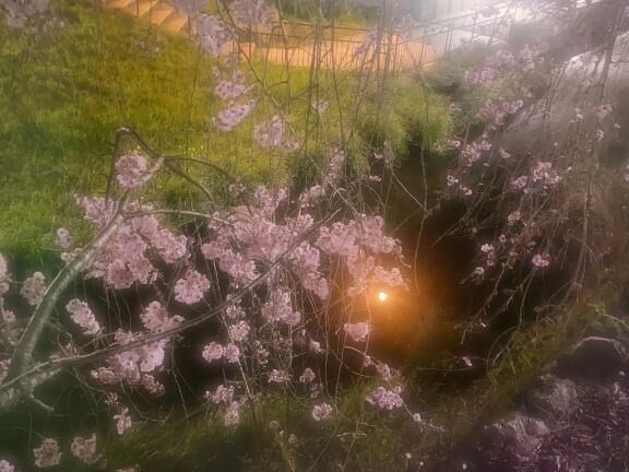 【お礼写メ日記】