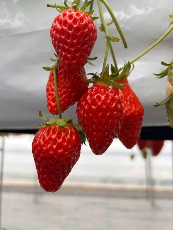 [お題]from:ポンタさん