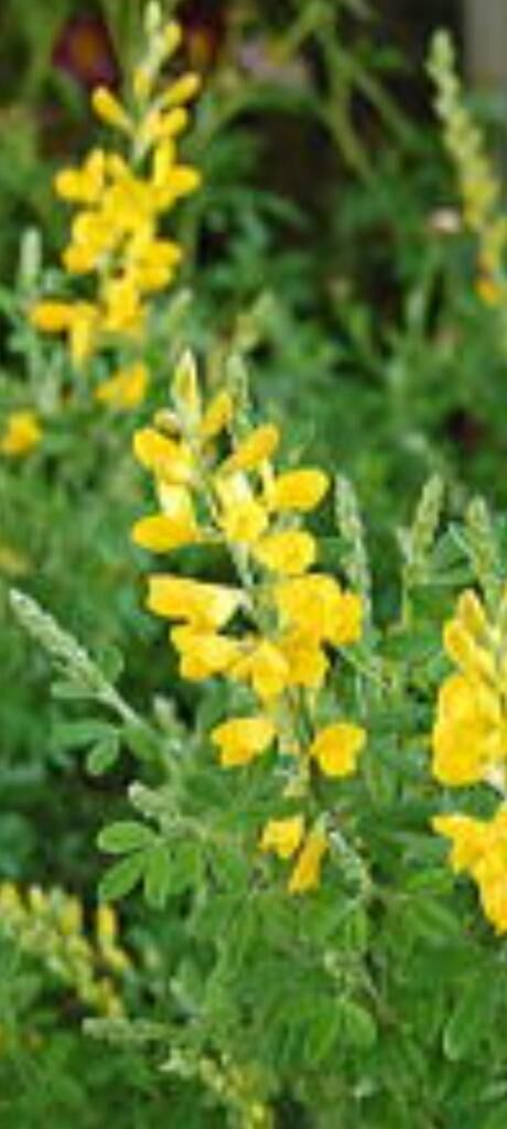 ありがとうございました！