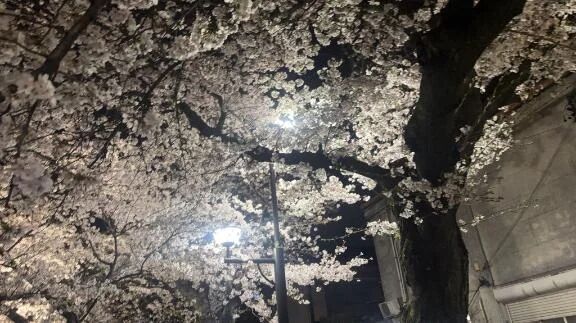 今週は金たまキラキラ金曜日❣️