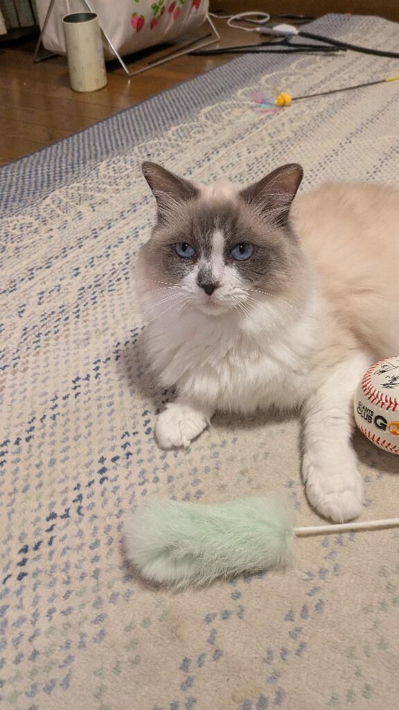 おはようございます