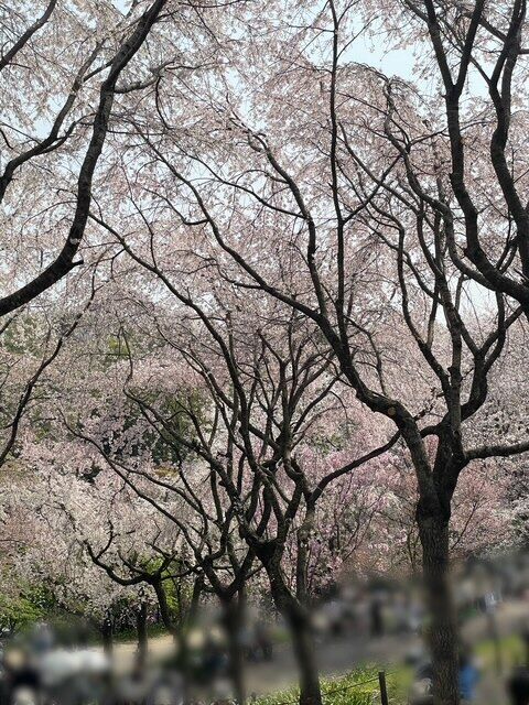 2日から出勤します