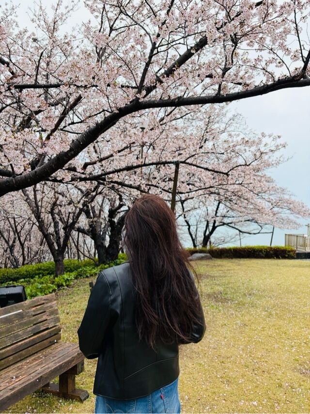ほたるの人妻川柳日記(桜雨)