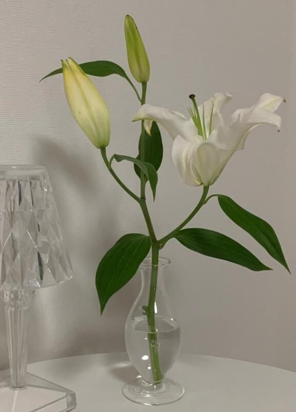 今日はちょっとだけ甘えたいかも…♡