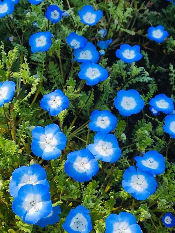 ごめんね🙇&zwj;♀️