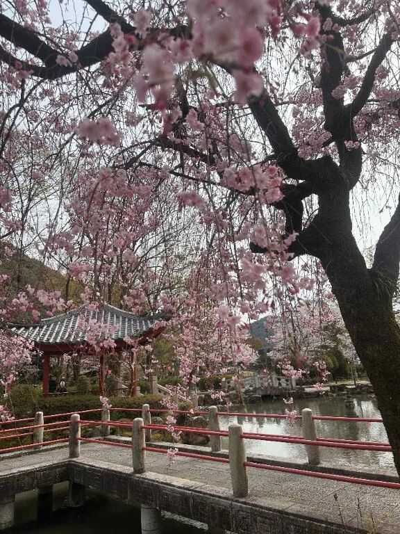 🌸3月最終日🌸