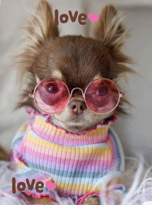 【お礼写メ日記】クチコミありがとうございます☘️🫶