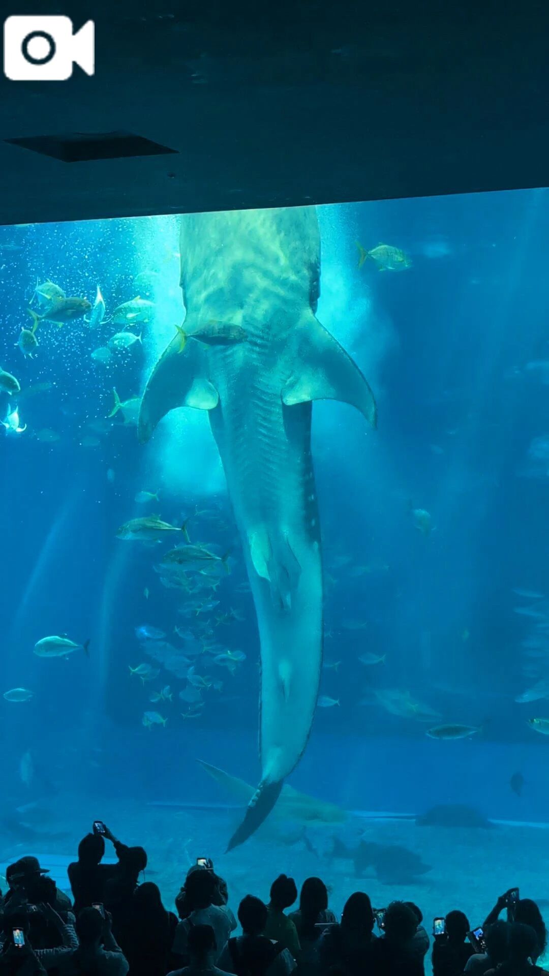 何度見ても…神秘的…✨