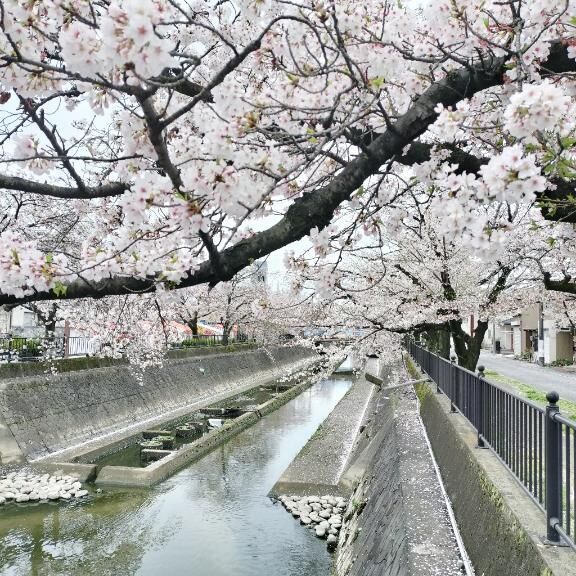 今日から４月！