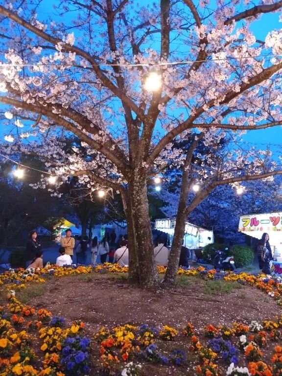 明日出勤します😊