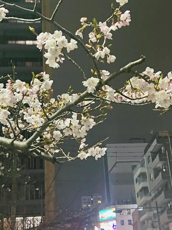 ひと段落𛰙᭜𖫴𖫰𖫱𖫳𖫲𖫲𖫳𖫴𖫰𖫱꛰ ᭜𖫴𖫰𖫱𖫳𖫲𖫲𖫳𖫴𖫰𖫱꛰ಣ