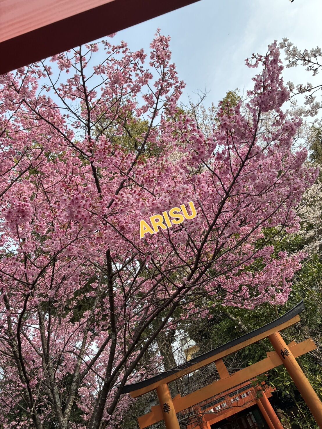 お久しぶりです〜