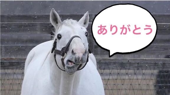 20:15 熱田区 S様