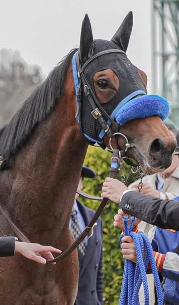 今日から3連勤🐾