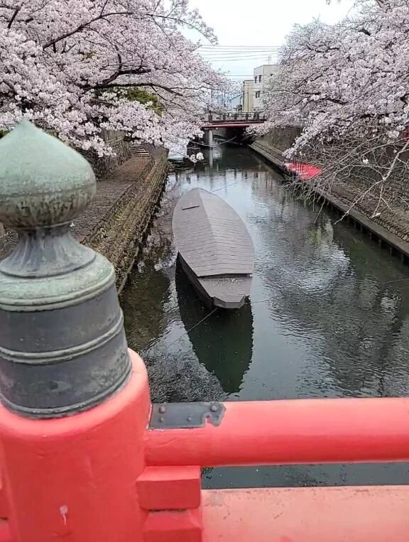 お休みします。