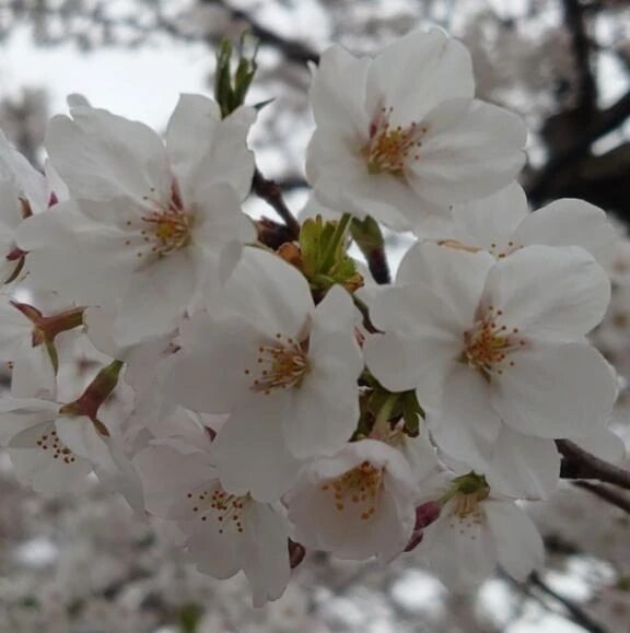 💕おはりょう💕