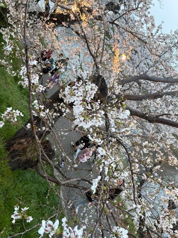 おはようございます。