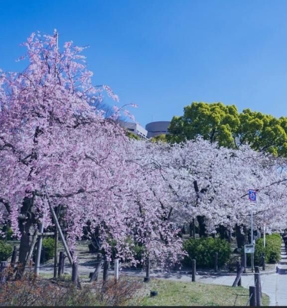 [お題]from:宴会部長さん