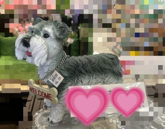 ありがとう＆様子見