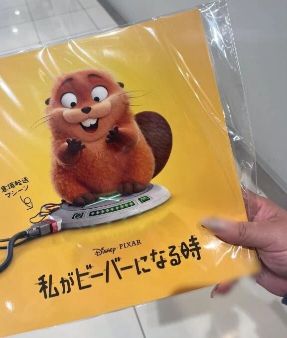 こんばんは🦫🦎🧡